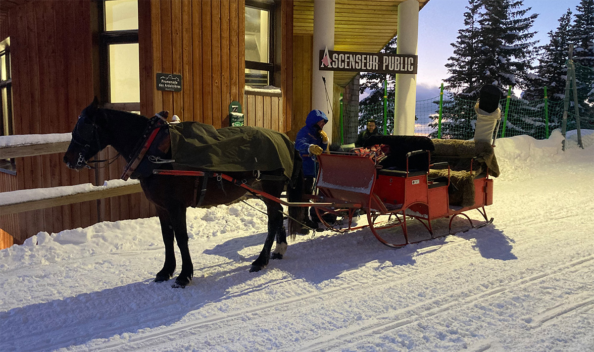 Bagage met de arrenslee met paard